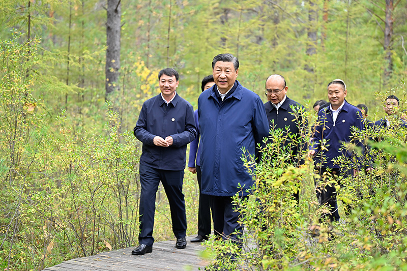 9月6日至8日，中共中央总书记、国度主席、中央军委主席习近平在黑龙江调查。这是6日下午，习近平在大兴安岭地域漠河市漠河林场天然林区调查